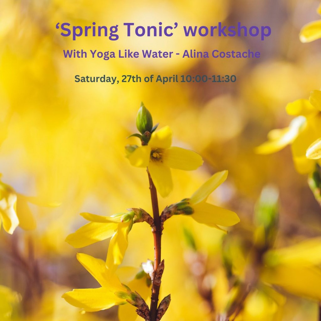 _Spring Tonic_ workshop_Alina_Instagram